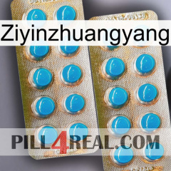 Ziyinzhuangyang new08